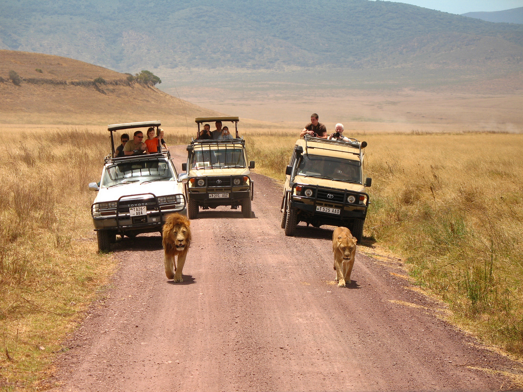 Tanzanija: visai kaip kine